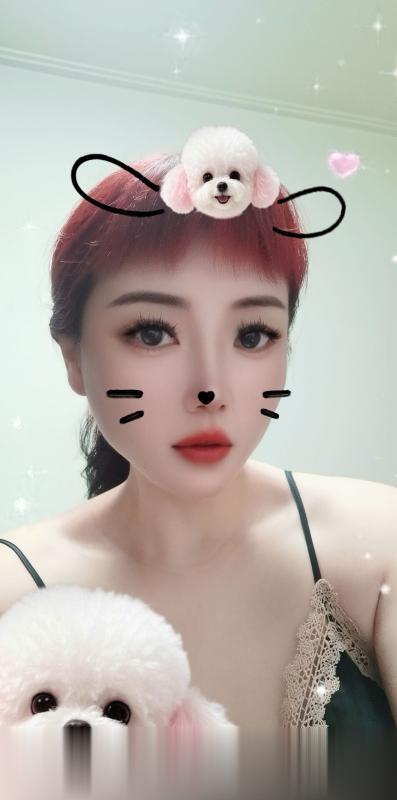 沈阳御姐..